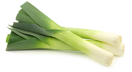 Porree, Lauch, Allium porrum