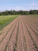 unsere-landwirtschaft-03