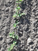 unsere-landwirtschaft-04