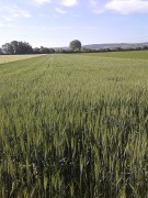 unsere-landwirtschaft-05