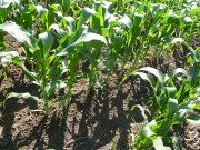 unsere-landwirtschaft-08