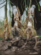 unsere-landwirtschaft-24
