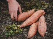 unsere-landwirtschaft-19