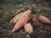 unsere-landwirtschaft-20